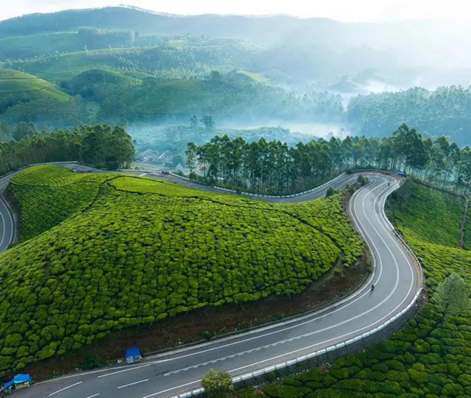 മൂന്നാർ കാഴ്ച 2