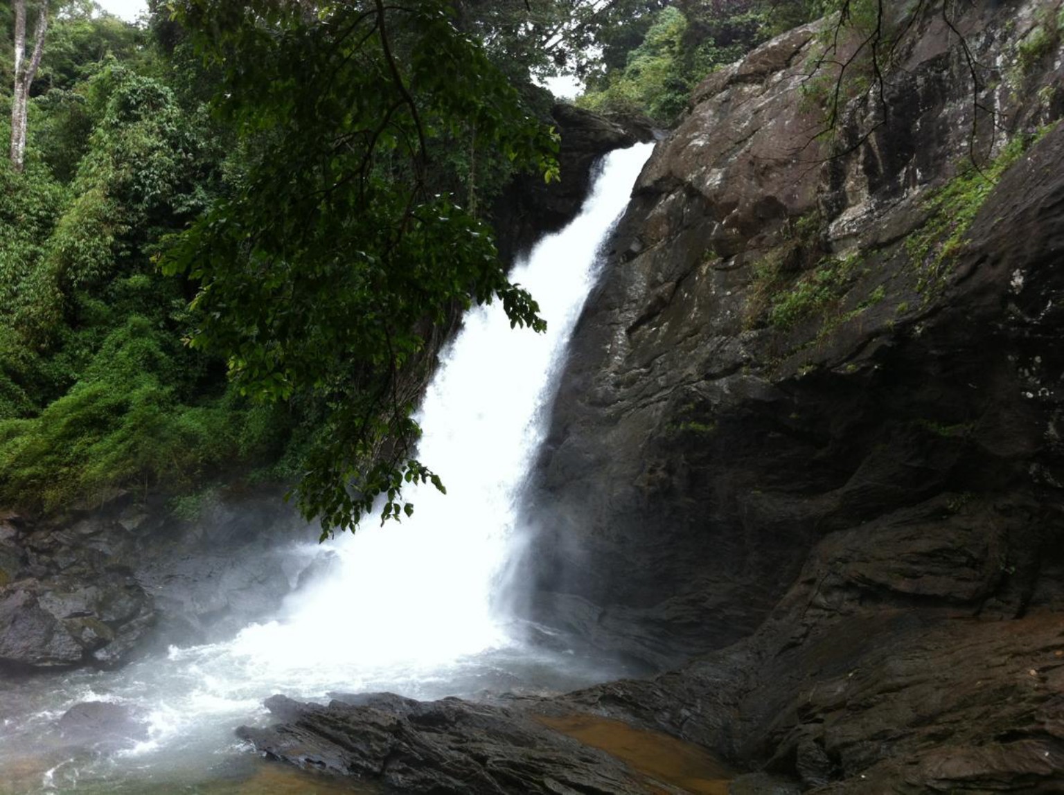 വയനാട് കാഴ്ച 2