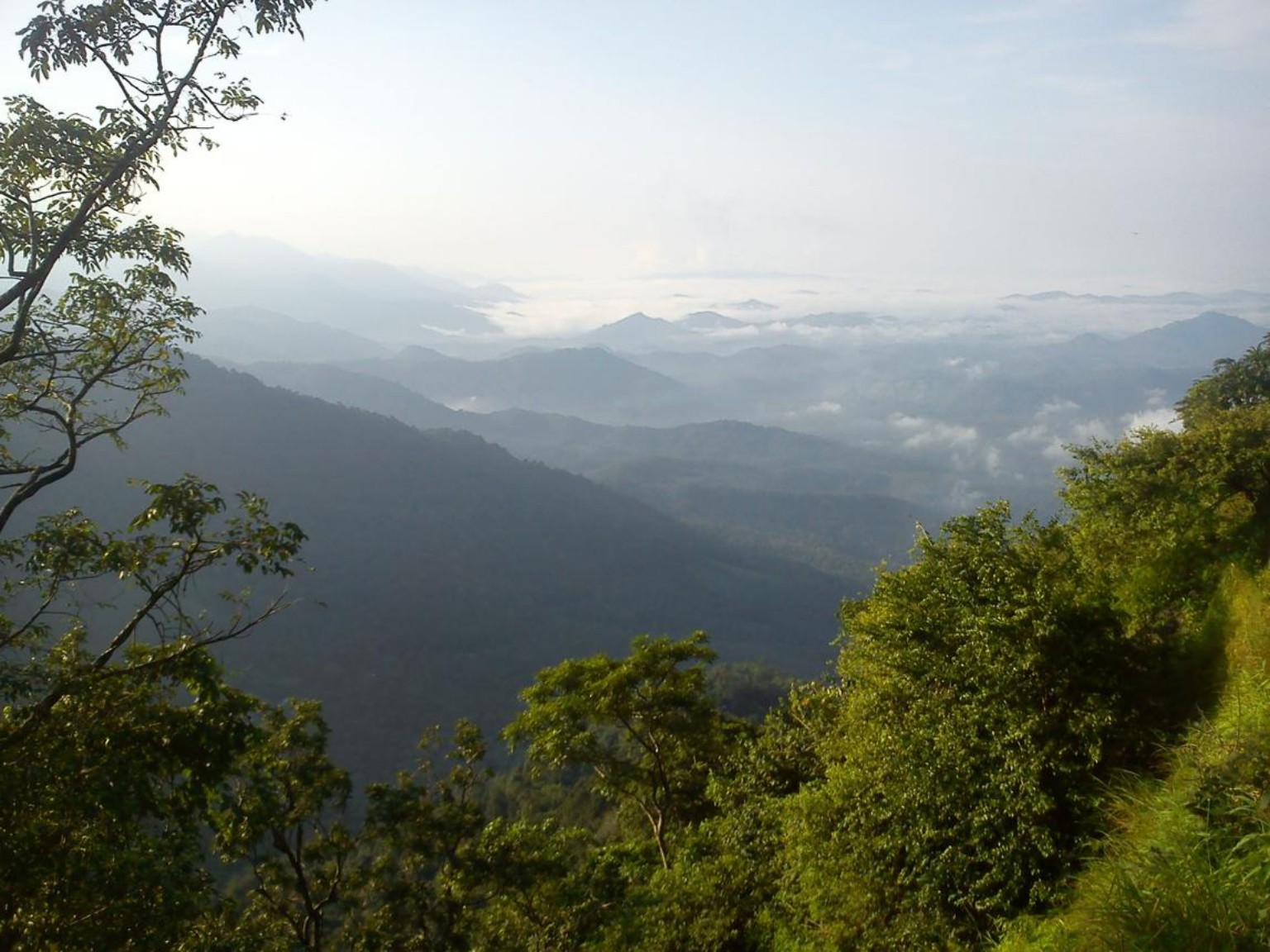 വയനാട് പ്രധാന ചിത്രം